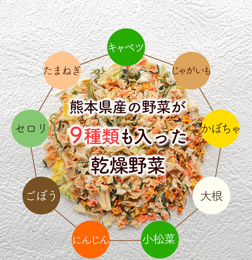 【熊本コレクション】乾燥野菜 9種 の 国産 野菜 完全無添加 100g ドライベジ エアドライ 健康食品 熊本県産 3-7営業日以内に出荷予定(土日祝除く)