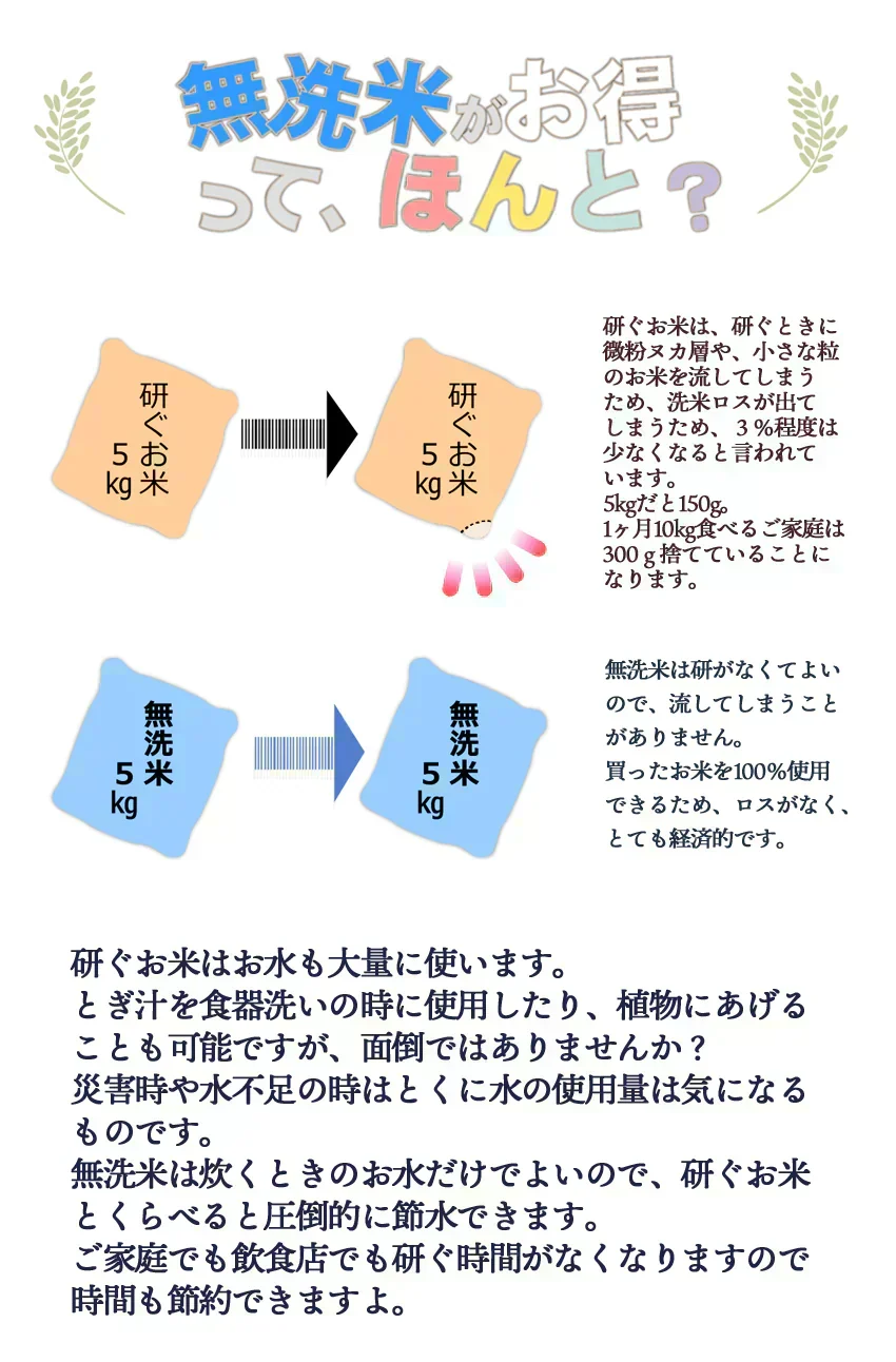 【令和7年産】無洗米 あきたこまち 無洗米 10kg 秋田小町 5kg×2 2025年産 人気銘柄