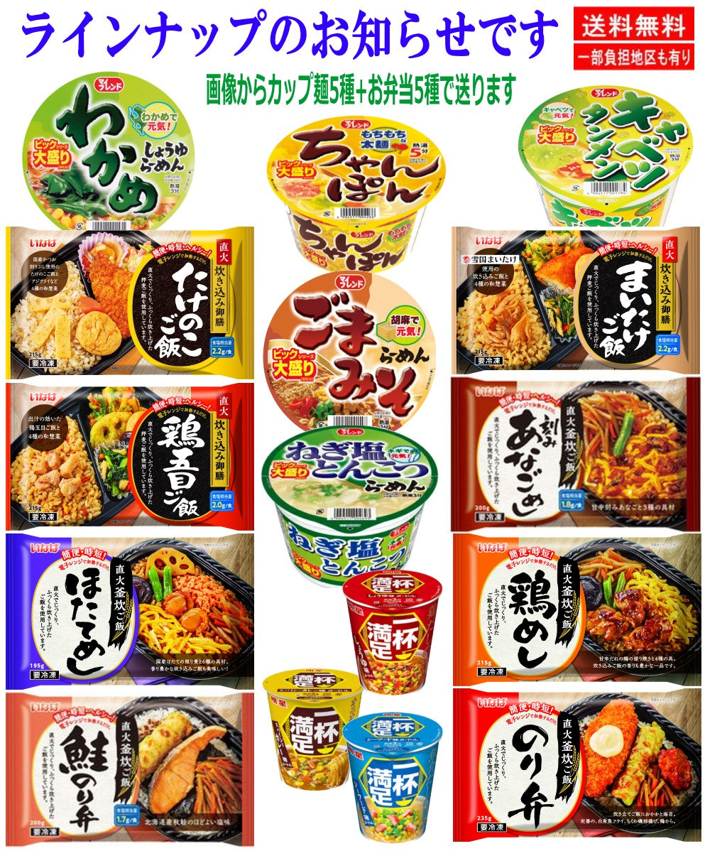 【広ちゃん食堂】弁当だけでは足りない！がっつり派の満足10食セット 弁当＋麺(レギュラーとビッグサイズ) マルコメ合わせみそ汁おまけ付き 関東圏送料無料