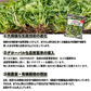 ほうれん草 １.５kg (500g×3パック)【便利な小分けパック】 解凍するだけそのまま使える サラダ お弁当 おかず 冷凍野菜 お惣菜 具沢山 カット野菜 常備野菜