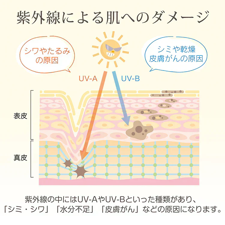 ◎5月下旬~6月上旬発送予定◎【オフホワイト×グレー】日傘 完全遮光 折りたたみ UVカット 軽量 6本骨 晴雨兼用 遮光100% 傘 かさ 折りたたみ傘