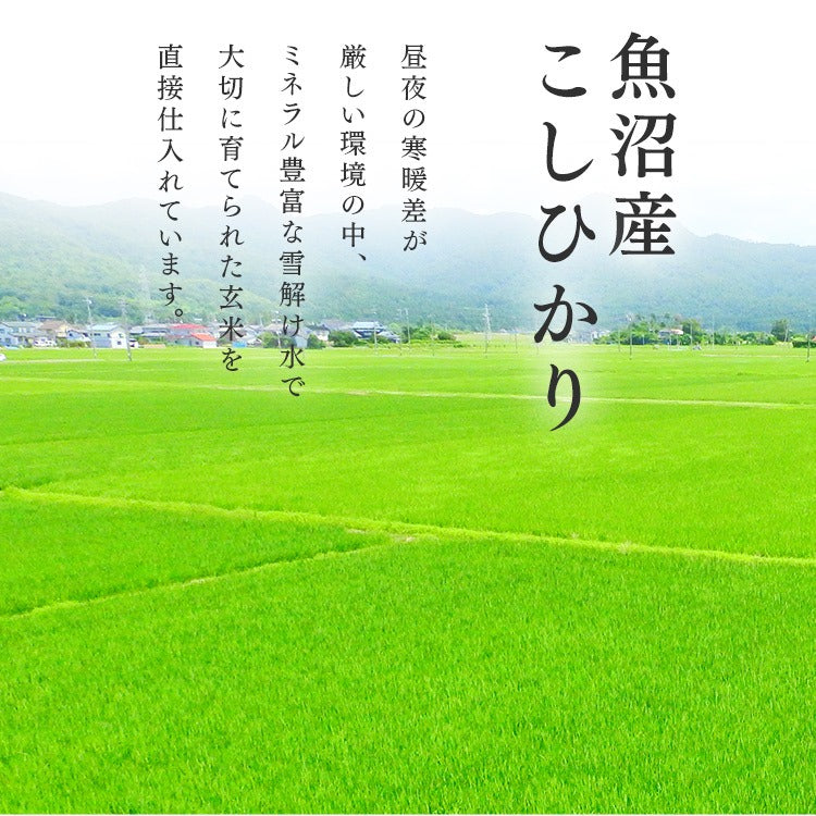 【カートアップNG】【ご新規さんとシェア買い】アイリスオーヤマ 低温製法米 新潟県魚沼産 こしひかり チャック付き 2kg