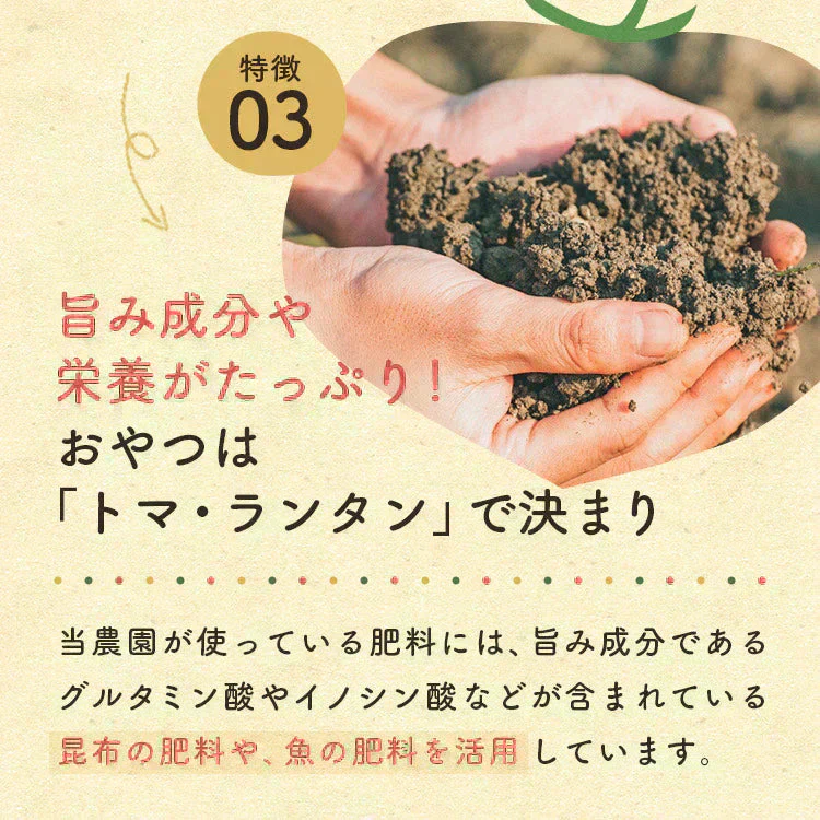 2kg 家族の笑顔が広がる完熟ミニトマト「トマランタン」東北配送不可】