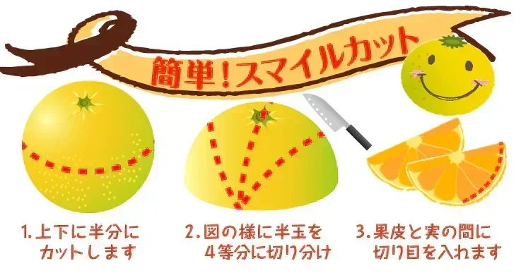 みかん 熊本産 スイートスプリング 10kg ご家庭用 (発送予定：2027年1月下旬より)