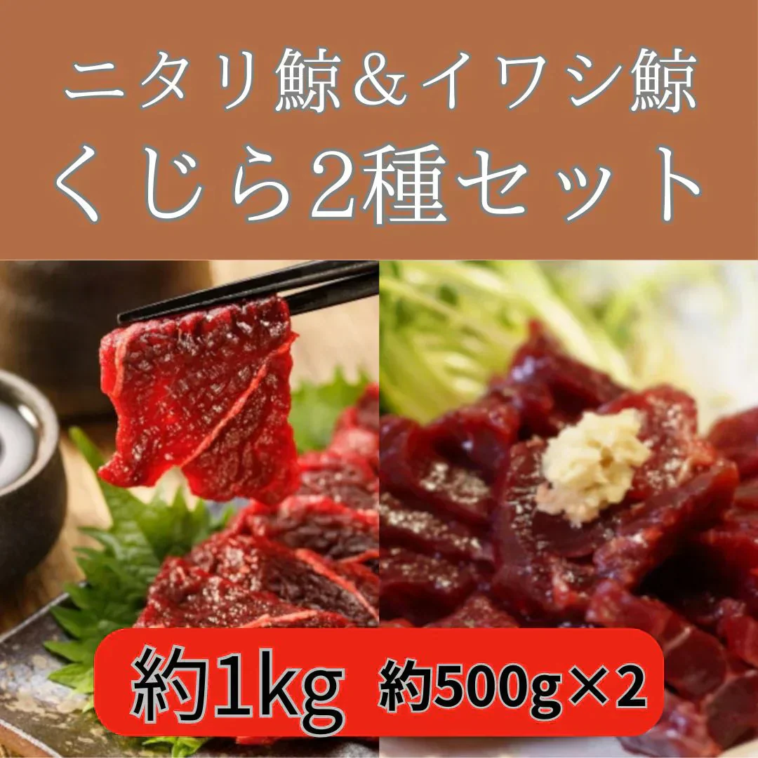 【鯨赤身計1kg】くじら2種食べ比べセット（ニタリ鯨＆ナガス鯨）