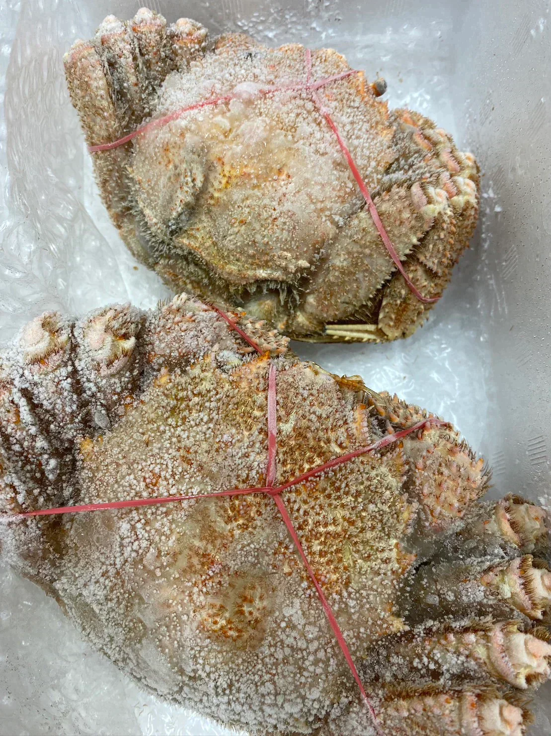 北海道産毛蟹 2尾パック 1尾あたり400~600g