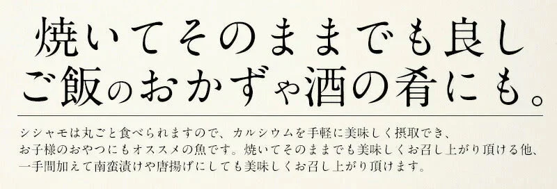 ししゃも シシャモ 子持ち 訳あり メス 1kg お徳用 1キロ 海産物 美味しい 冷凍 大量 魚 自宅用 子持ちししゃも まとめ買い 海鮮 食べ物 贈答用 グルメ 魚介 おかず おつまみ 酒のつまみ 酒の肴 贈り物 贈答 海鮮ギフトセット 母の日 プレゼント ギフト  母の日思いの 健康