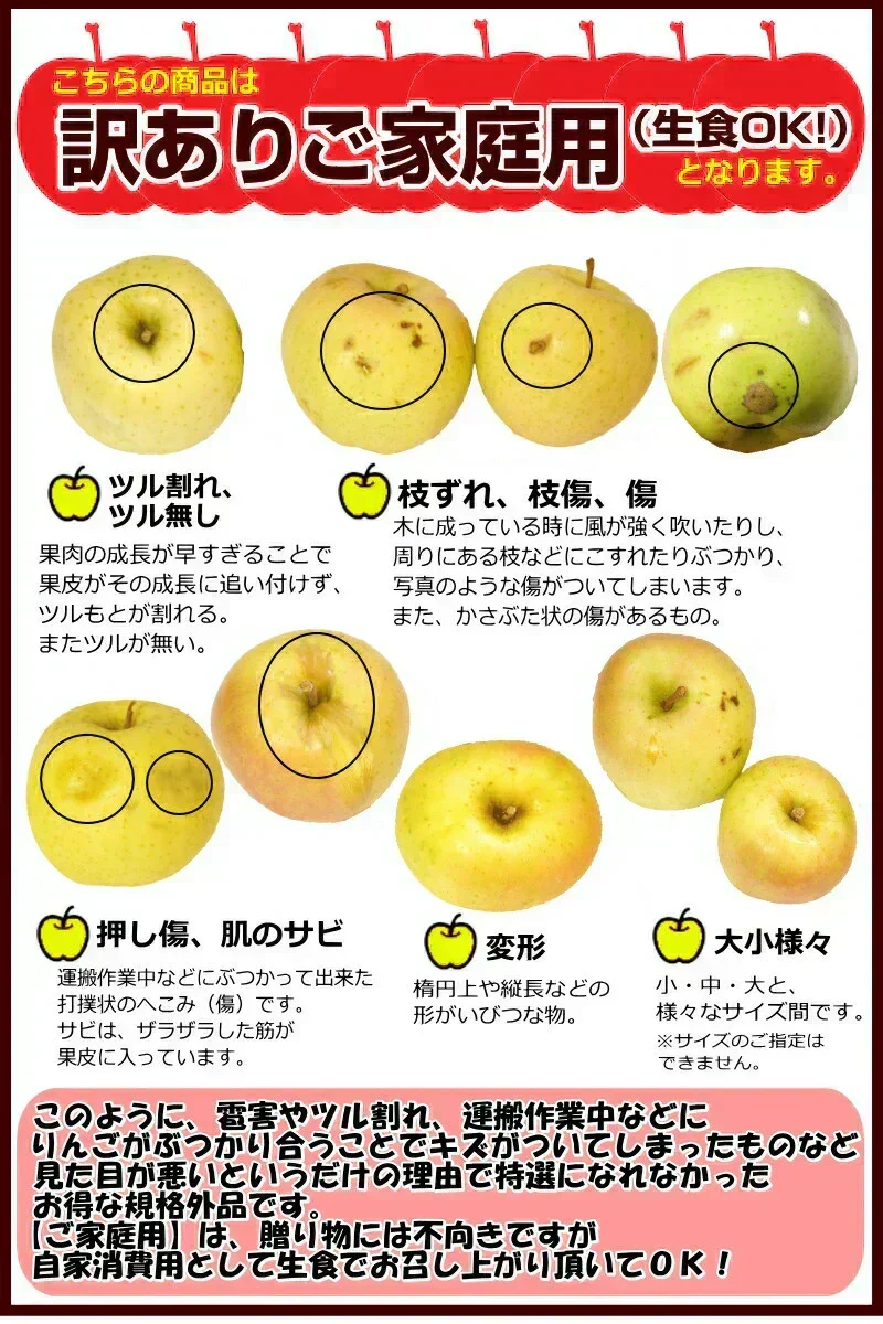 10月9日～発送！青森県産 りんご トキ 5kg箱 家庭用/訳あり ★トキ 家訳 5kg箱