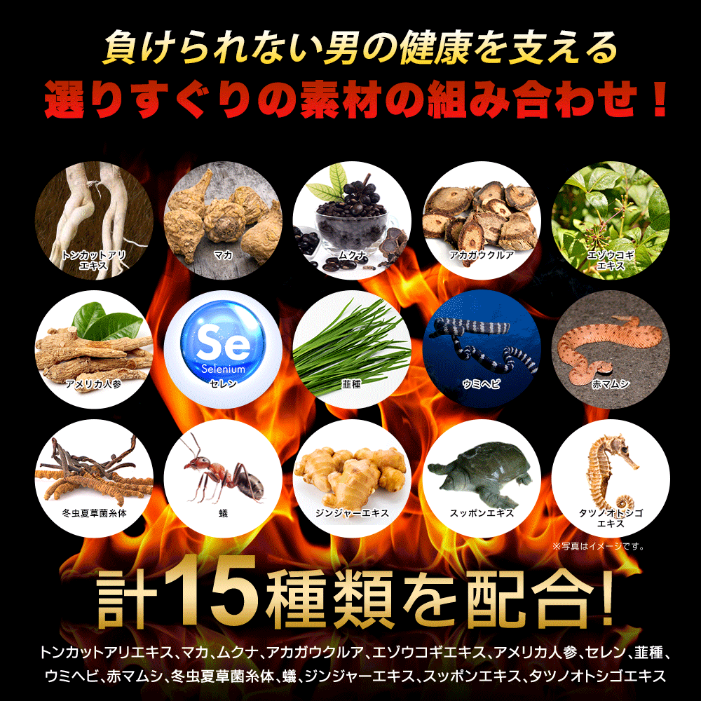 タフコンフィデンス《約1ヶ月分》みなぎるパワー系素材13種類配合！　ネコポス送料無料　トンカットアリ/マカ/スッポン/赤マムシ/亜鉛/タフコン/TOUGH CONFIDENCE