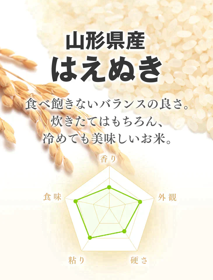 新米 令和5年産 山形県産 はえぬき 精米 10kg(5kg×2) 送料無料※一部地域を除く