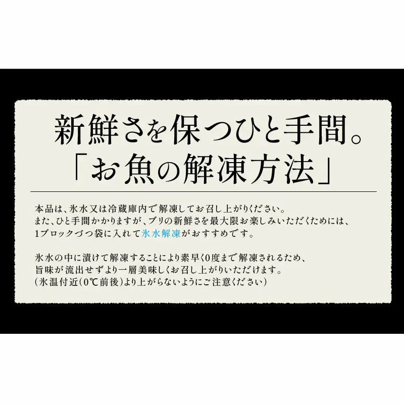 ぶり 刺身 ブリ ロイン 500g 超冷薫 業務用 愛媛県産 鰤 海鮮 お刺身 刺し身 柵 さくさしみ 切り身 お取り寄せ グルメ 寿司 和食 ブリしゃぶ 海鮮 冷凍