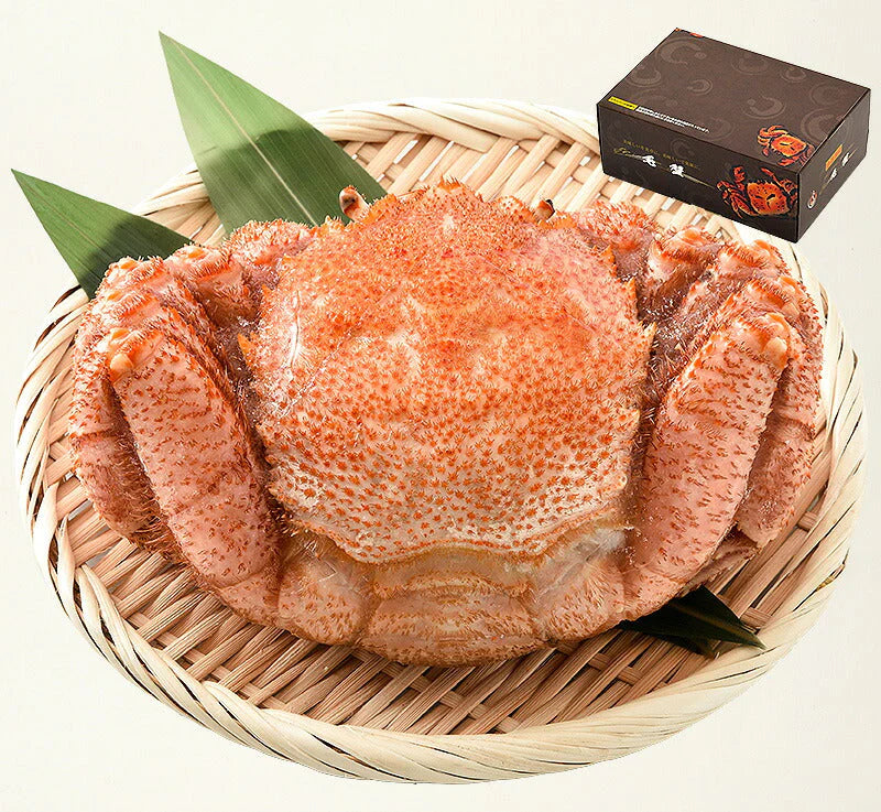 毛ガニ 400g前後×1尾 毛蟹 毛がに グルメ 姿［送料無料］ ボイル 北海道産 美味しい かに 蟹 海鮮 カニ 茹で蟹 北海道グルメ お取り寄せグルメ 北海道 旬 時期 贈り物 贅沢 母の日 プレゼント ギフト  母の日思いの 健康 実用的 父の日 子供 孫