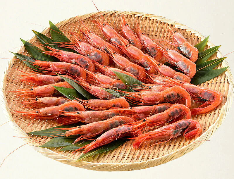 越前産 甘えび 子持ち特大サイズ 500g（約30尾入り） 甘エビ 刺身用 ［送料無料］ 産地直送 海鮮 エビ セット 海老 大 甘海老 美味しい 大きい えび 冷凍えび 冷凍エビ 食品ギフト ごちそう 贈り物 贈答 母の日 プレゼント ギフト【フレッシュセール】