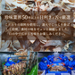 訳あり 噛むほどに旨い 無添加 真いか(スルメイカ)あたりめ 1kg メガ盛り 業務用 【あてめあて】