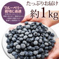 東北産 冷凍ブルーベリー１kg