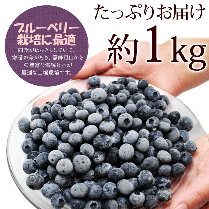 東北産 冷凍ブルーベリー１kg