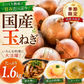 【規格外品】国産たまねぎ1.6kg（最低保証1.5kg）サイズランダム　玉葱 玉ねぎ タマネギ サラダ カレー 和食 野菜 惣菜 送料無料【カウシェファーム収穫対象商品】