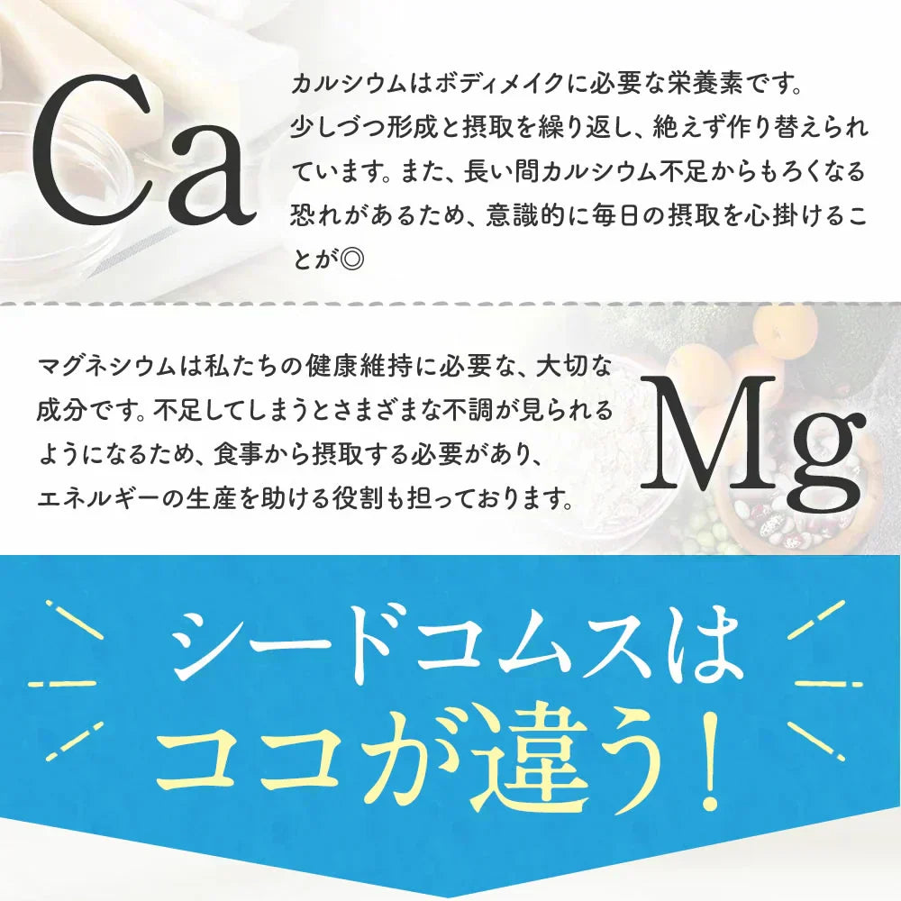 カルシウム＆マグネシウム《約1ヶ月分》ビタミンD サプリ サプリメント 健康 子供 ドロマイト ビタミン