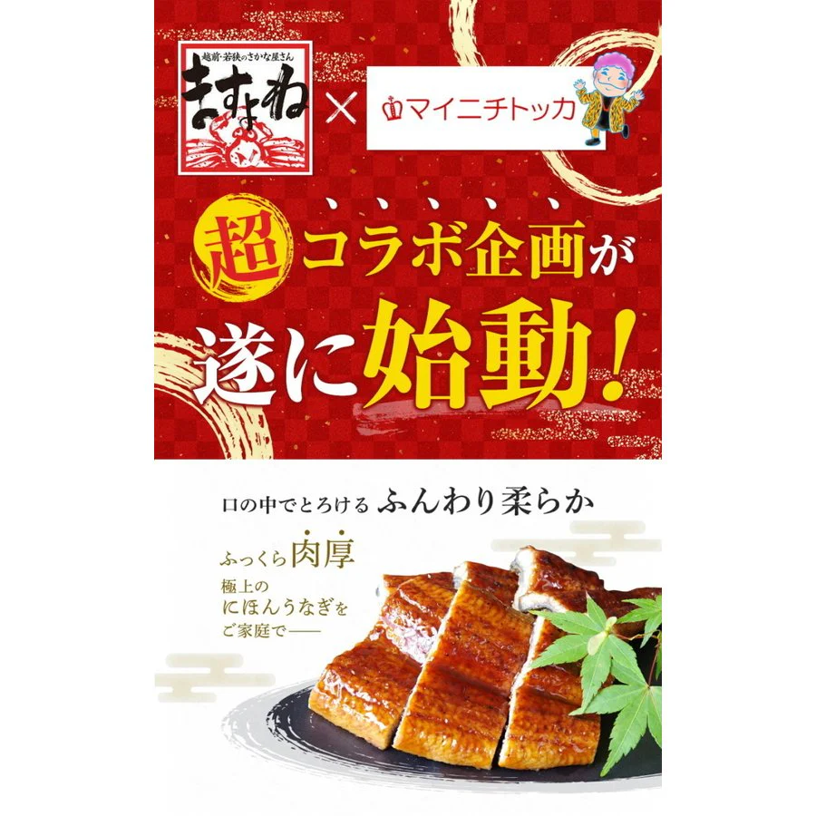 自宅用うなぎ蒲焼き1尾（台湾産）タレ・山椒付セット ますよね監修