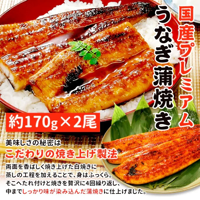 国産 うなぎ蒲焼き 約170g×2尾 送料無料 九州産 今だけ200gにグレードアップ