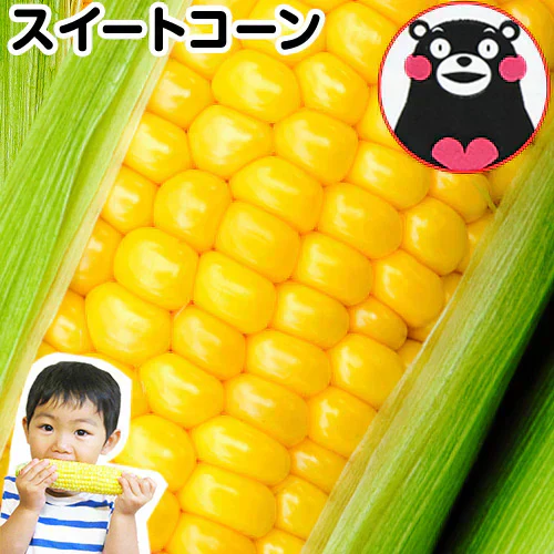 【売り切れ必至】とうもろこし すごあまこーん 7本入 (3L~L サイズ) 卯野農場 セット購入でおまけ付き 朝採り 生で食べられる 約1.8kg～約2.4kg 九州産 高糖度 クール便 送料無料 スイートコーン 《7月上旬～8月上旬頃より発送予定》|