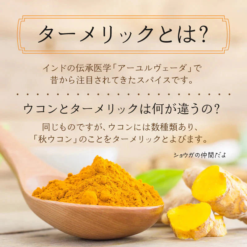 ターメリック オーガニック 有機 ターメリックパウダー スーパーフード 無添加 100g ゴールデンラテ スパイス 粉末 有機JAS認証 ウコン ハーブ スリランカ セイロン 香辛料 調味料 スパイスカレー 健康