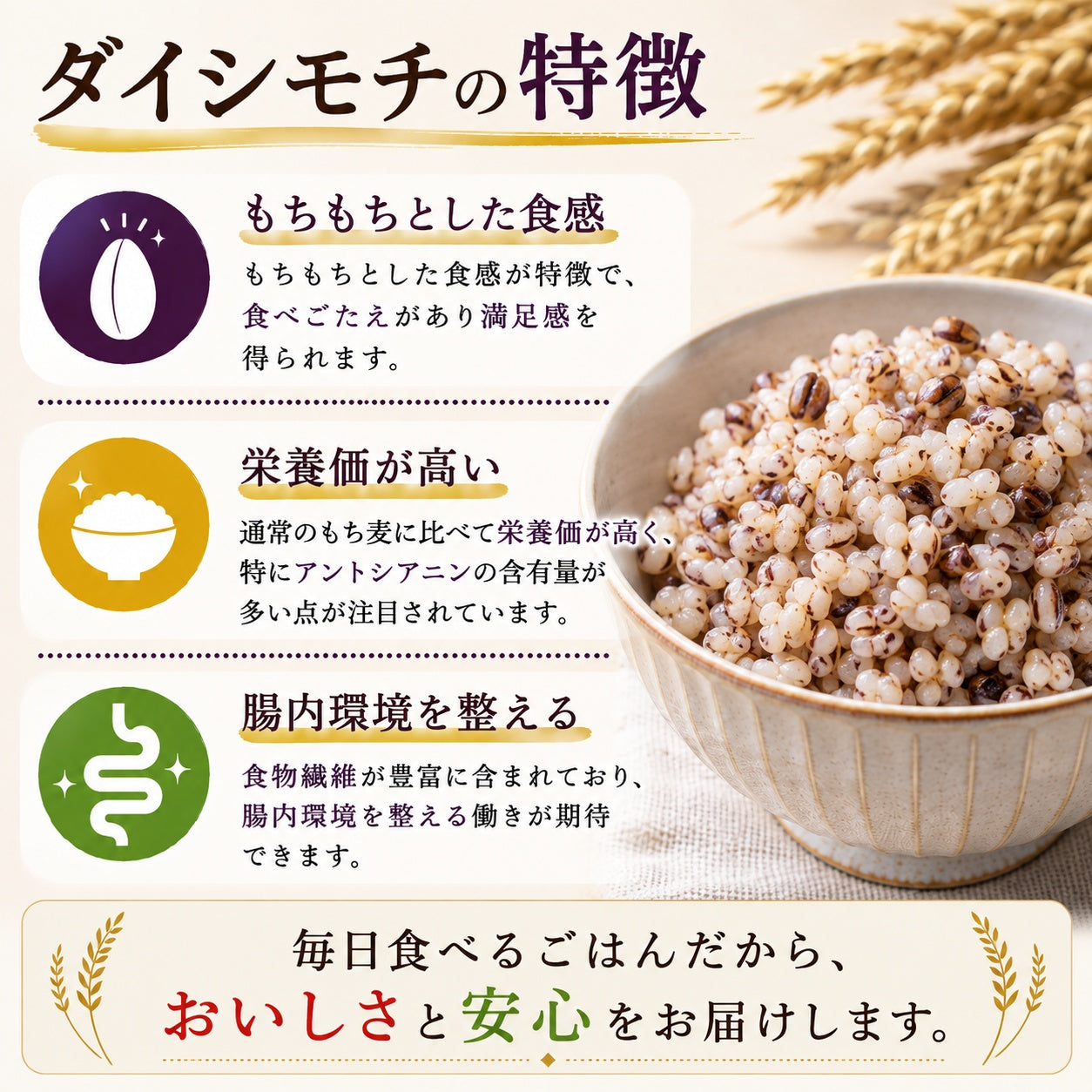 岡山県産　ダイシモチ/幻の紫もち麦　1kg　令和8年産