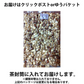 【セール開催中！】4種のミックスナッツ＆チーズ750g