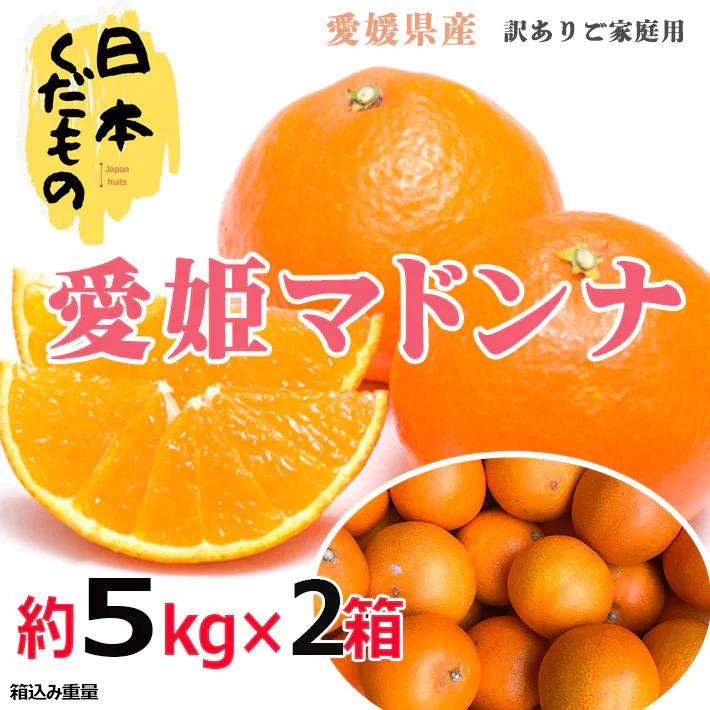 愛媛県産 高級柑橘マドンナ 5kg×2箱 訳あり家庭用 柑橘