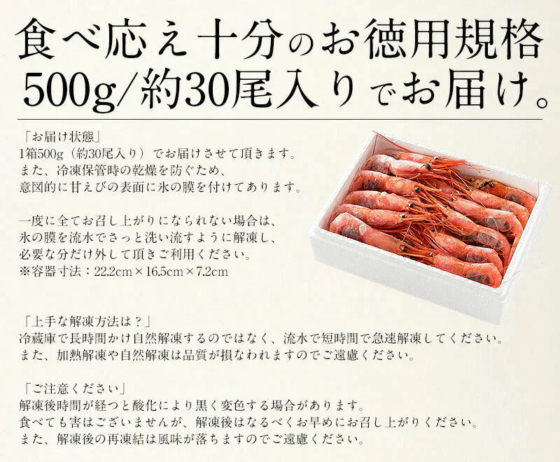 越前産 甘えび 子持ち特大サイズ 500g（約30尾入り） 甘エビ 刺身用 ［送料無料］ 産地直送 海鮮 エビ セット 海老 大 甘海老 美味しい 大きい えび 冷凍えび 冷凍エビ 食品ギフト ごちそう 贈り物 贈答 母の日 プレゼント ギフト