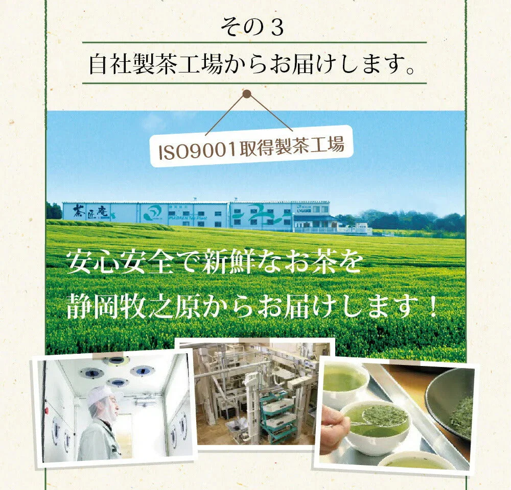 日本橋いなば園 静岡深蒸し茶 掛川茶 100g メール便 送料無料