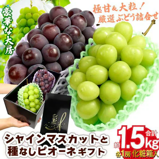 シャインマスカット&ピオーネセット 約1.5kg（大房 各1房）（発送予定:9月下旬より）