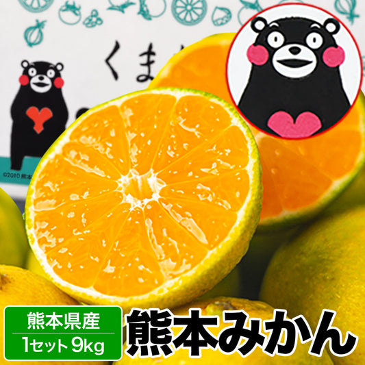 熊本 みかん 訳あり 9kg 熊本県産 熊本 小玉 不選別 みかん 家庭用 送料無料 早生 ミカン フルーツ お取り寄せ 柑橘 フルーツ 果物  《10月中旬-11月中旬に出荷予定》