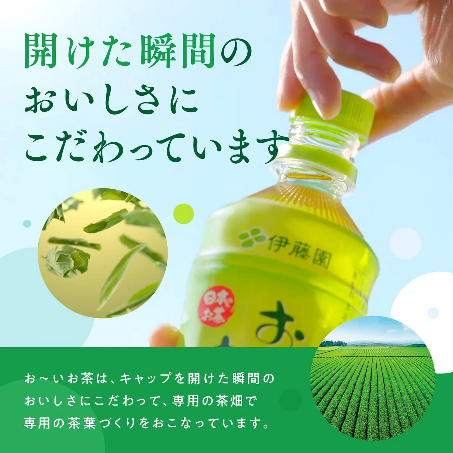 【送料無料】伊藤園 お〜いお茶 1000ml×2ケース/24本