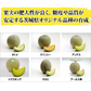 メロン 高級メロン 国産 旬のメロン 青肉 アンデスメロン オトメメロン イバラキング タカミ JA共選 特秀品 ２Lサイズ ０.８～０.９ｋｇ／玉 マスクメロン 大玉 お歳暮 御歳暮 おせいぼ 高級メロン めろん 甘い 絶品 高級フルーツ 果物 くだもの ご褒美 お供え お取り寄せフルーツ 美味しい