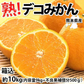 デコポン 同品種 訳あり デコみかん 10kg 箱込 (内容量9kg+補償分500g) 送料無料 熊本県産 フルーツ お取り寄せ みかん ミカン 蜜柑 不知火