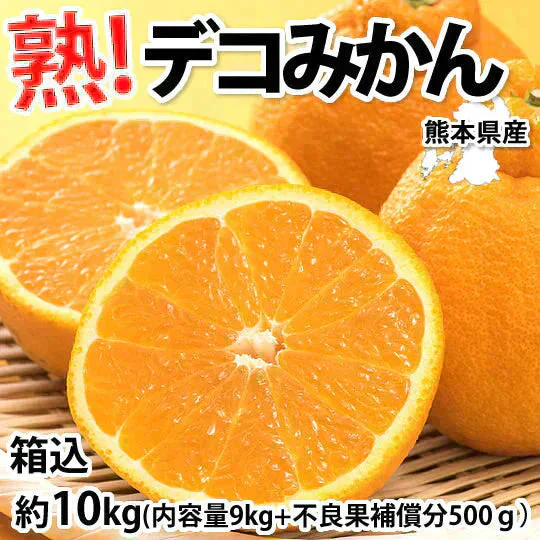 デコポン 同品種 訳あり デコみかん 10kg 箱込 (内容量9kg+補償分500g) 送料無料 熊本県産 フルーツ お取り寄せ みかん ミカン 蜜柑 不知火