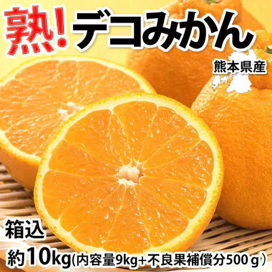 デコポン 同品種 訳あり デコみかん 10kg 箱込 (内容量9kg+補償分500g) 送料無料 熊本県産 フルーツ お取り寄せ みかん ミカン 蜜柑 不知火