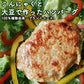 大豆ハンバーグ 代替肉 サラダバーグ 90g×6