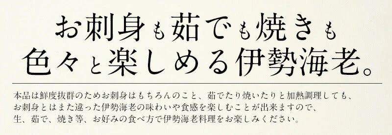 伊勢海老 千葉県産 外房イセエビ 小サイズ×4〜5尾 刺身 冷凍 伊勢エビ 伊勢えび えび エビ 海鮮 魚介 プリプリ 濃厚 グルメ 贈り物 ［送料無料］ 母の日 プレゼント ギフト  母の日思いの 健康 実用的 父の日 子供 孫