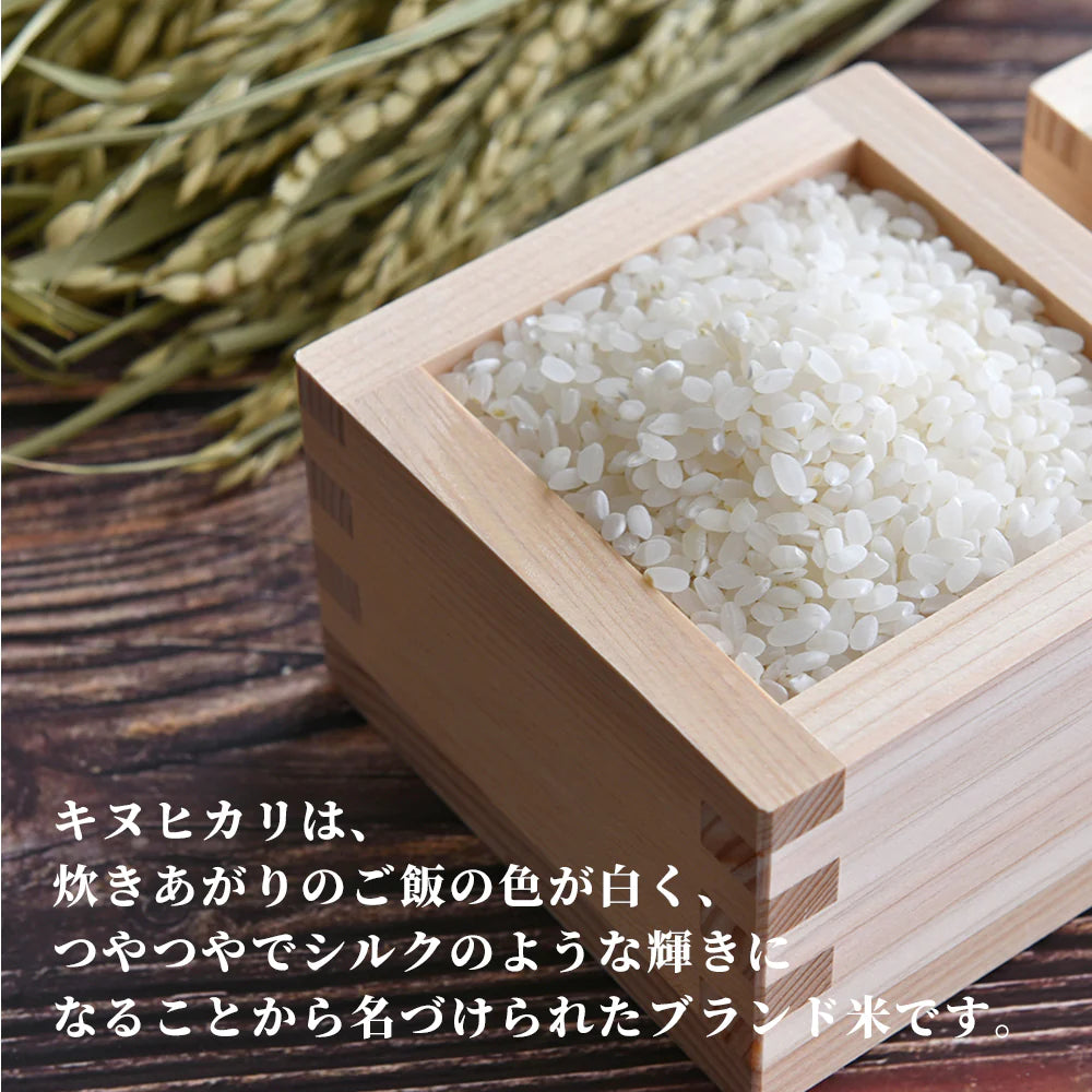 【白米】兵庫県産 キヌヒカリ 5kg 精白米 国産 国産キヌヒカリ100％ 送料無料 精米工場からの直送品