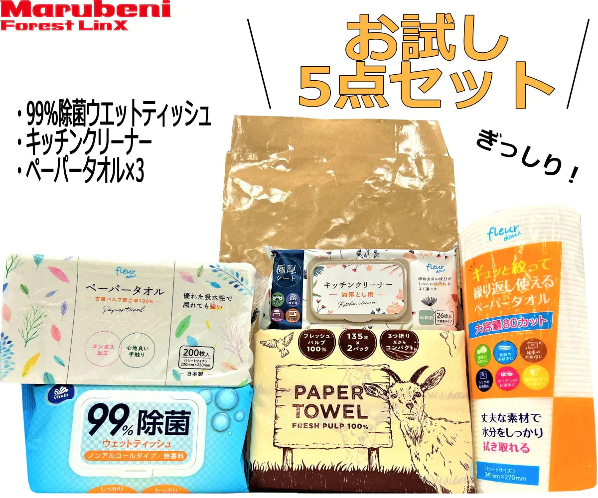 ＼カウシェ限定／日用品お試しセット【ウェットティッシュ・キッチンクリーナー・ペーパータオル×3】お得なセット　まとめ買い　キッチンや洗面所まわりに　送料無料