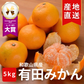 【極 / 濃厚】和歌山県 有田みかん 5キロ