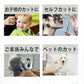 【プロ理容師大推薦！】8点セット ハイランク 散髪 はさみ セット すきばさみ 切れ味 抜群 段刃 低 すき率 ヘアカット ハサミ 髪切りはさみ 前髪 ヘアカット シザー セニング 鋏 セルフカット 自宅 さんぱつ キッズ 赤ちゃん 初心者 子供 大人 家庭用 ハサミ ステンレス製 本格 理容 プロ仕様 ケース付き