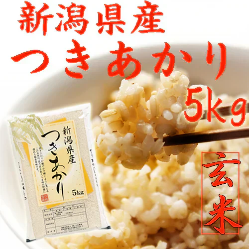 玄米 5kg 送料無料 米 お米 玄米 玄米5kg 新潟産 つきあかり 5kg 玄米 お米 5キロ ポイント消化 安い米 農家直送 美味しいお米