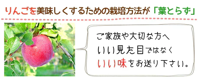 【予約受付中】青森県産 訳あり 葉とらず シナノゴールド 約10kg※11月下旬頃から予約順発送※