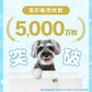 【予約商品：7月中旬（～20日までに発送）】【レギュラーサイズ/800枚入り】超薄型 ペットシーツ ペットシーツ 多頭飼い 大容量 まとめ買い 業務用 ペット用 ペットシート トイレシート 犬 猫 トイレシーツ ペット用シーツ ペットシート おしっこシート おむつ替えシート 送料無料