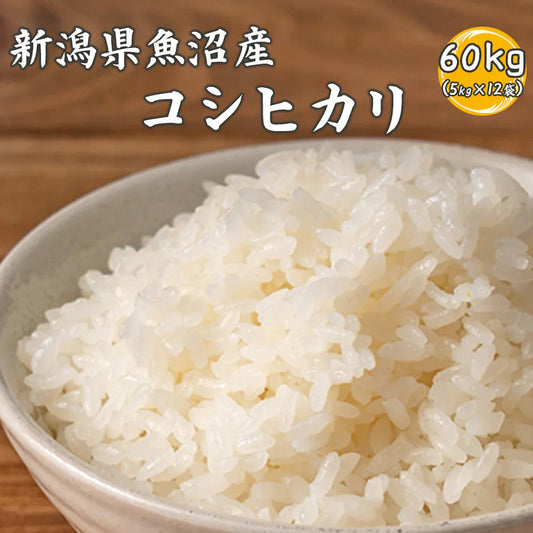 【白米】魚沼産 コシヒカリ 60kg(5kg×12袋) 精白米 国産 国産コシヒカリ100％ 送料無料 精米工場からの直送品