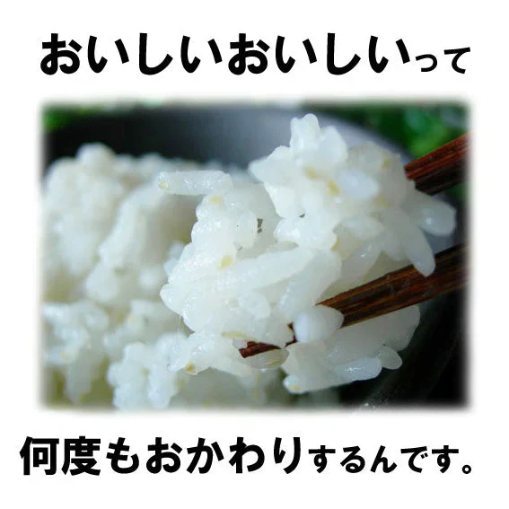 5kg 無洗米 一般の白米より栄養ぎっしり米の力　九州産 米 「米の力」5kg1個