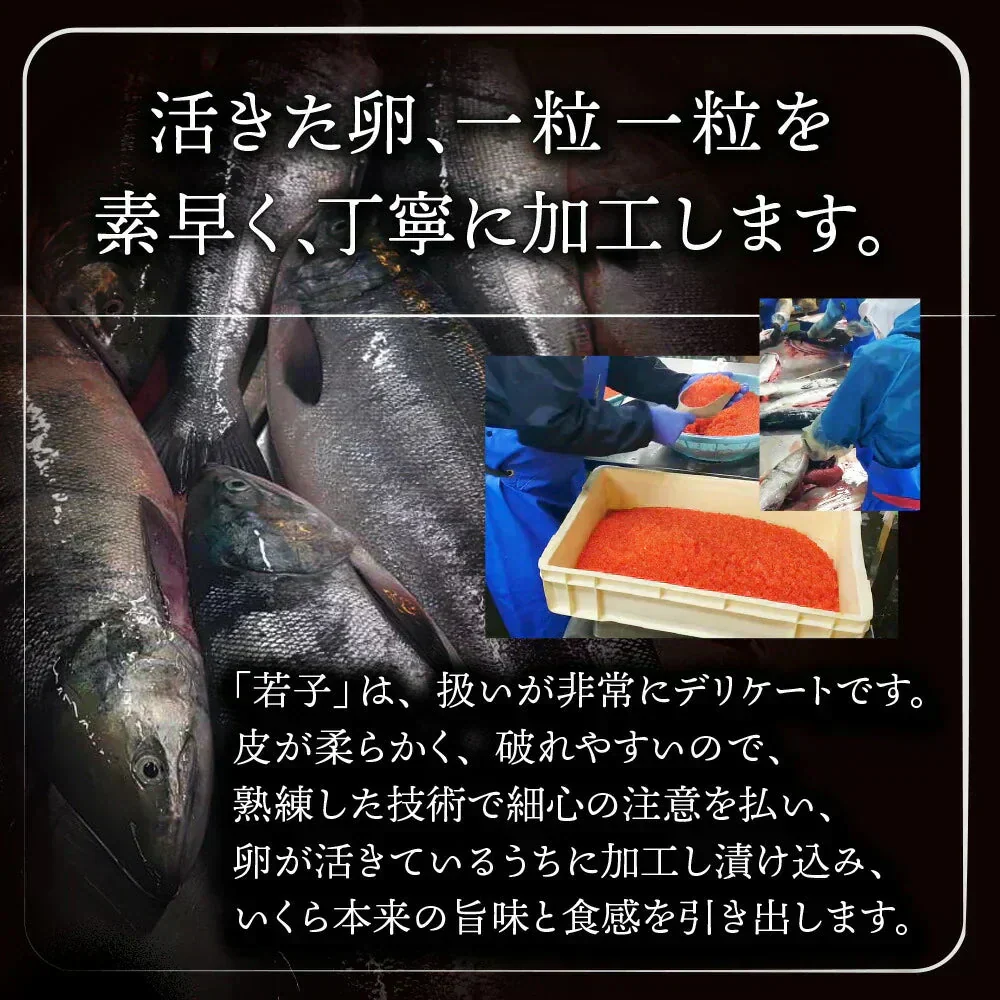 期間限定50OFF！★北海道礼文・利尻産 秋鮭若子のいくら醤油漬け400g(100g×4) 特定業者のみ販売が許された希少な「若子のいくら」濃厚なとろみとくちどけを実感 ご褒美や贈答用に